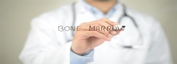 Bone Marrow Transplantation