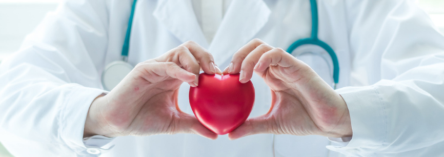 Все, что вам нужно знать о сердечно-сосудистых заболеваниях: