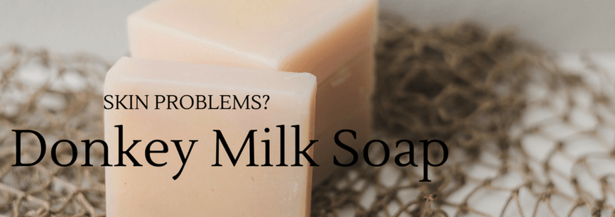 Skin Problems? Add Donkey Milk Soap to Your Daily Beauty Routine